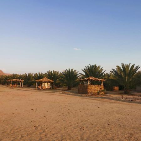 Almazham Camp Resort Al-ʿUla Exterior foto