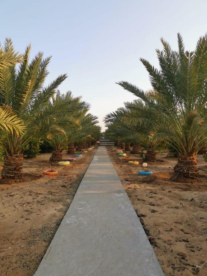 Almazham Camp Resort Al-ʿUla Exterior foto
