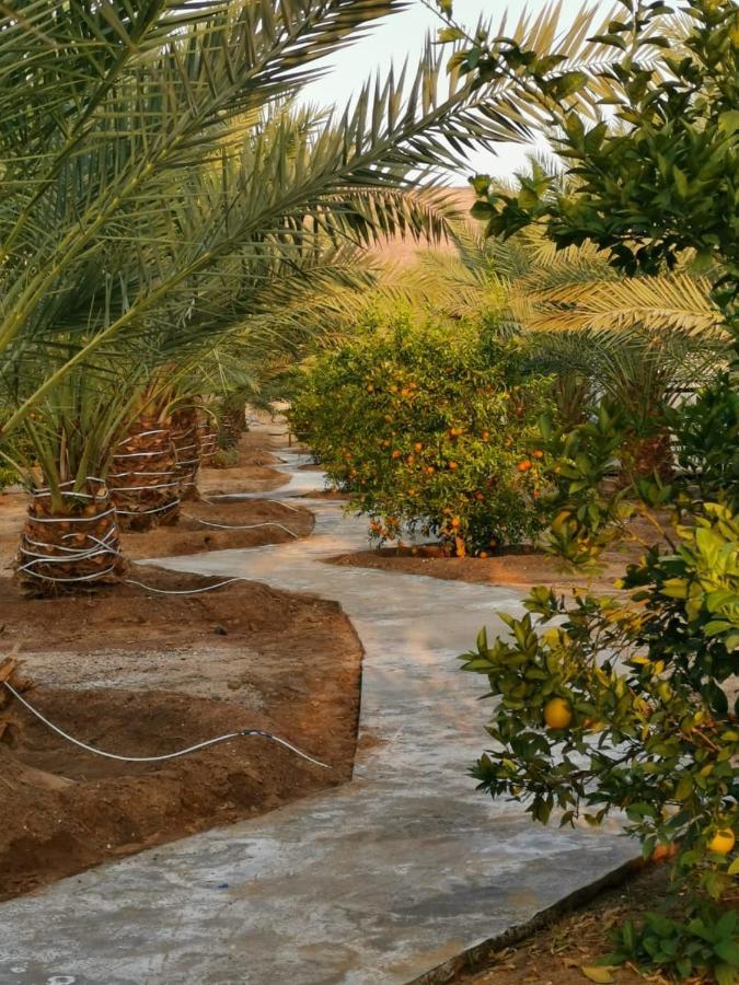 Almazham Camp Resort Al-ʿUla Exterior foto