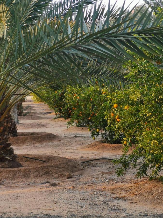 Almazham Camp Resort Al-ʿUla Exterior foto