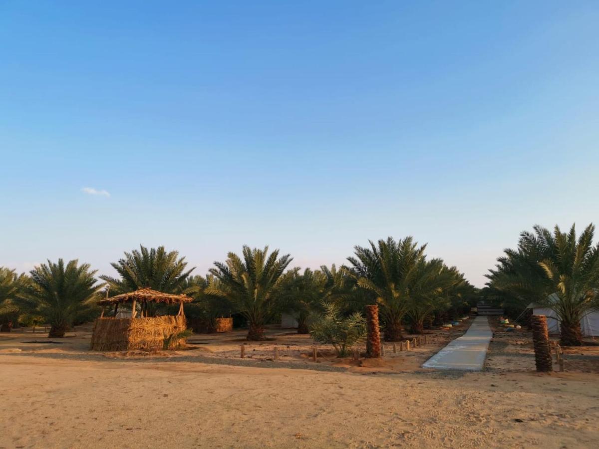 Almazham Camp Resort Al-ʿUla Exterior foto