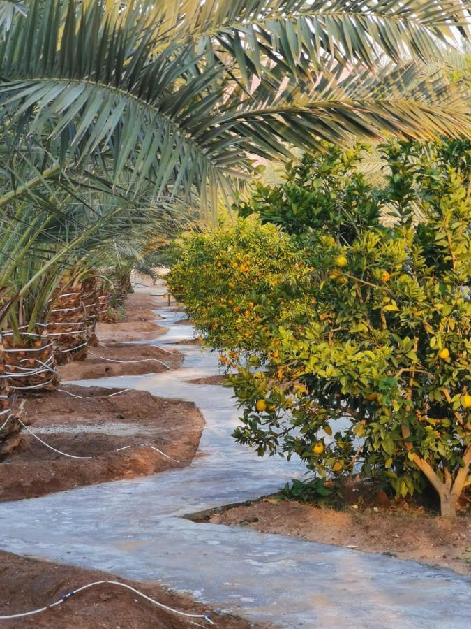 Almazham Camp Resort Al-ʿUla Exterior foto